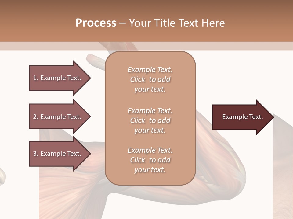 A Medical Powerpoint Presentation With Muscles And Bones PowerPoint Template