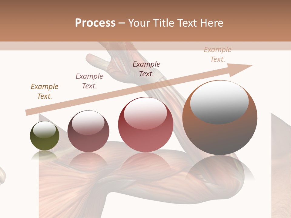 A Medical Powerpoint Presentation With Muscles And Bones PowerPoint Template