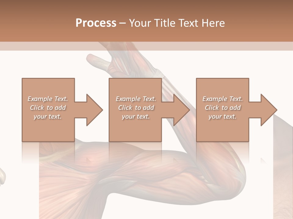 A Medical Powerpoint Presentation With Muscles And Bones PowerPoint Template