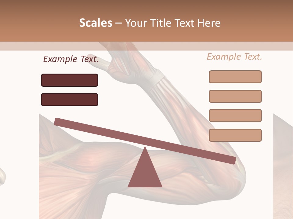 A Medical Powerpoint Presentation With Muscles And Bones PowerPoint Template