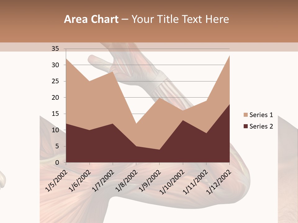 A Medical Powerpoint Presentation With Muscles And Bones PowerPoint Template