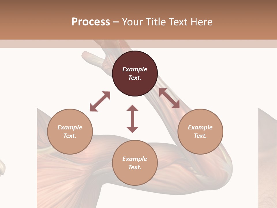 A Medical Powerpoint Presentation With Muscles And Bones PowerPoint Template