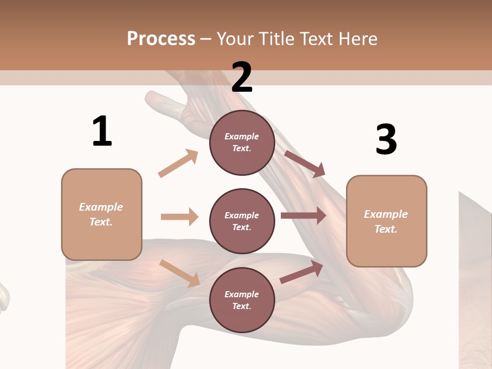 A Medical Powerpoint Presentation With Muscles And Bones PowerPoint Template