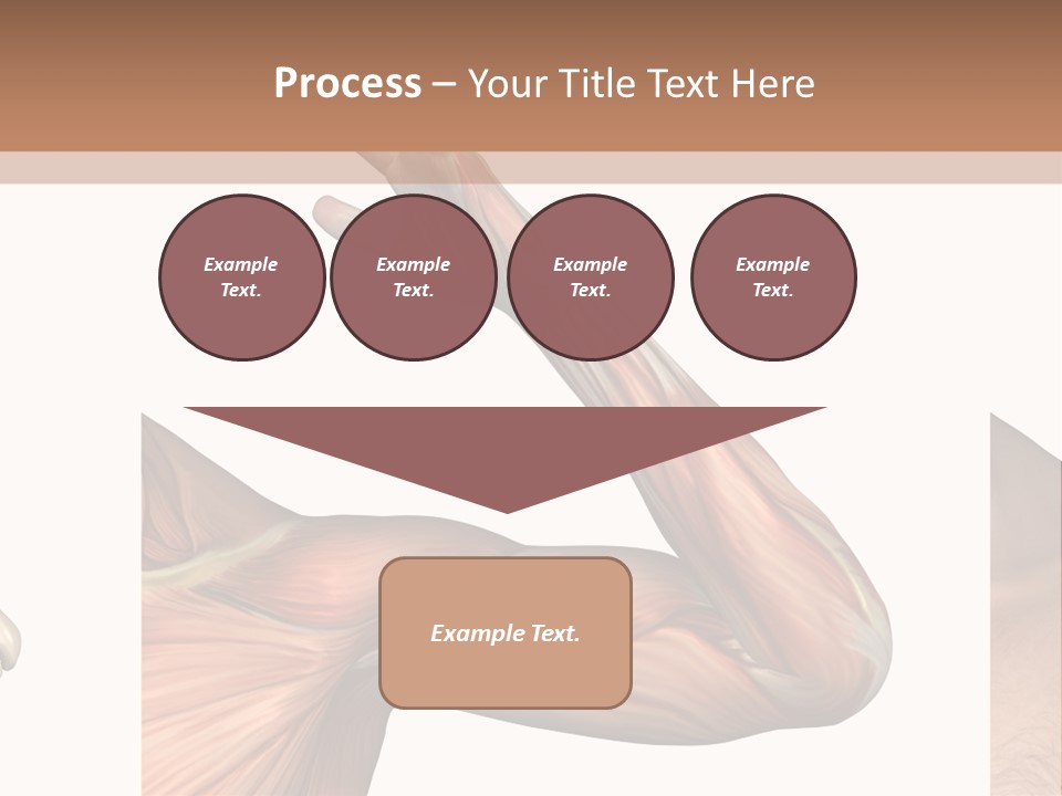 A Medical Powerpoint Presentation With Muscles And Bones PowerPoint Template