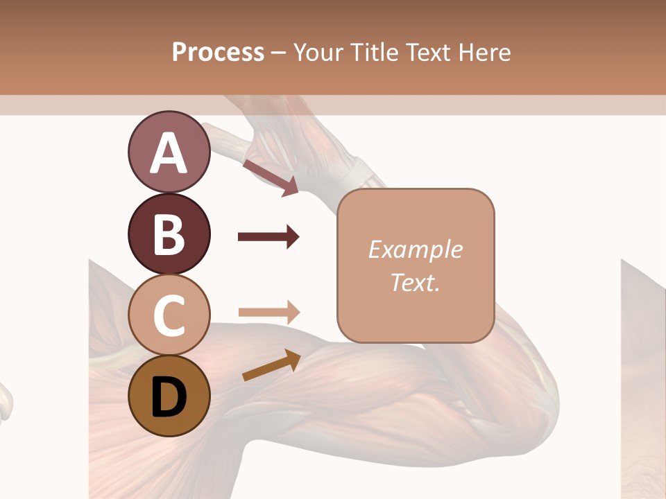 A Medical Powerpoint Presentation With Muscles And Bones PowerPoint Template