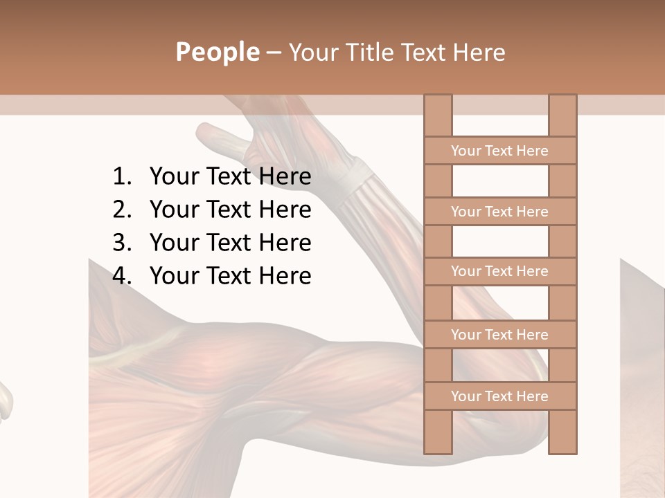 A Medical Powerpoint Presentation With Muscles And Bones PowerPoint Template