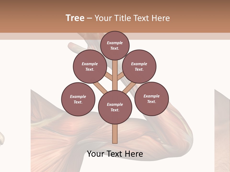 A Medical Powerpoint Presentation With Muscles And Bones PowerPoint Template