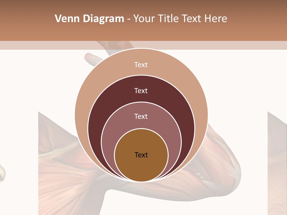 A Medical Powerpoint Presentation With Muscles And Bones PowerPoint Template