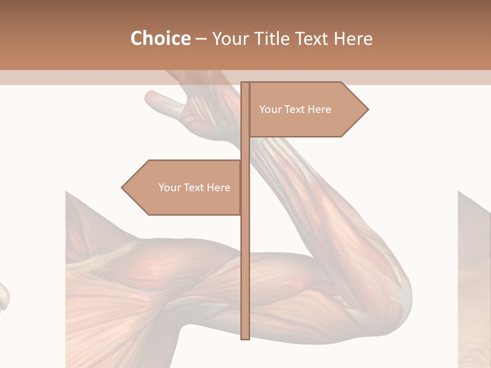 A Medical Powerpoint Presentation With Muscles And Bones PowerPoint Template