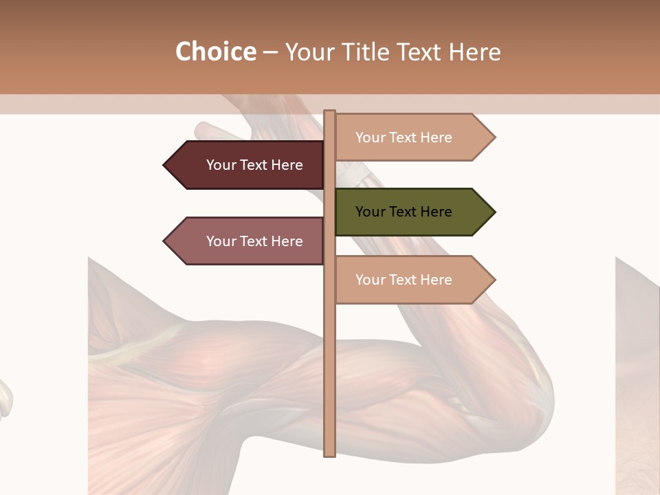 A Medical Powerpoint Presentation With Muscles And Bones PowerPoint Template