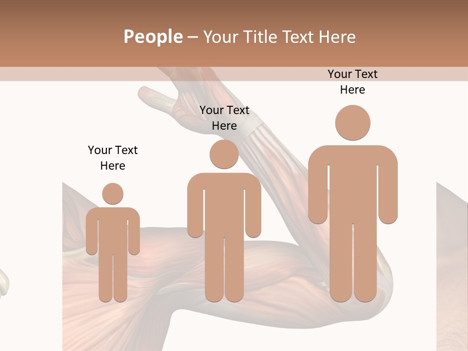 A Medical Powerpoint Presentation With Muscles And Bones PowerPoint Template