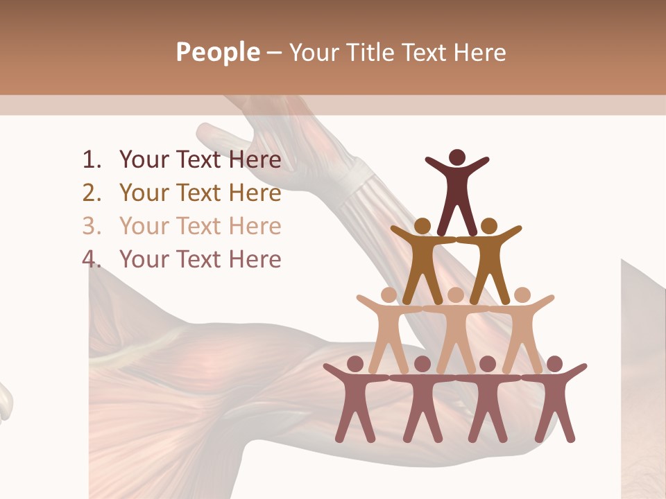 A Medical Powerpoint Presentation With Muscles And Bones PowerPoint Template