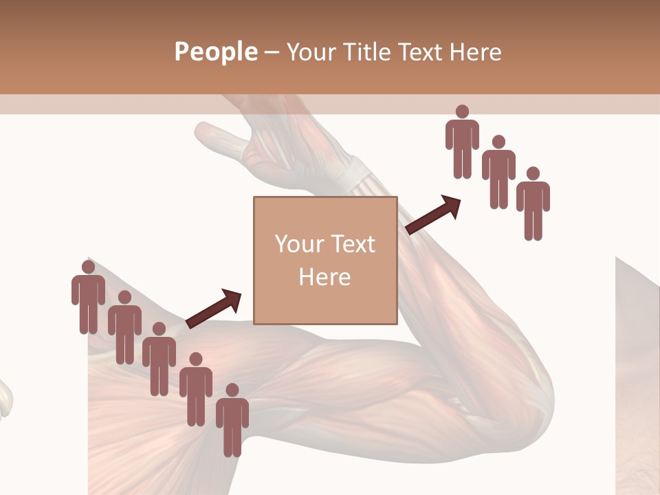 A Medical Powerpoint Presentation With Muscles And Bones PowerPoint Template