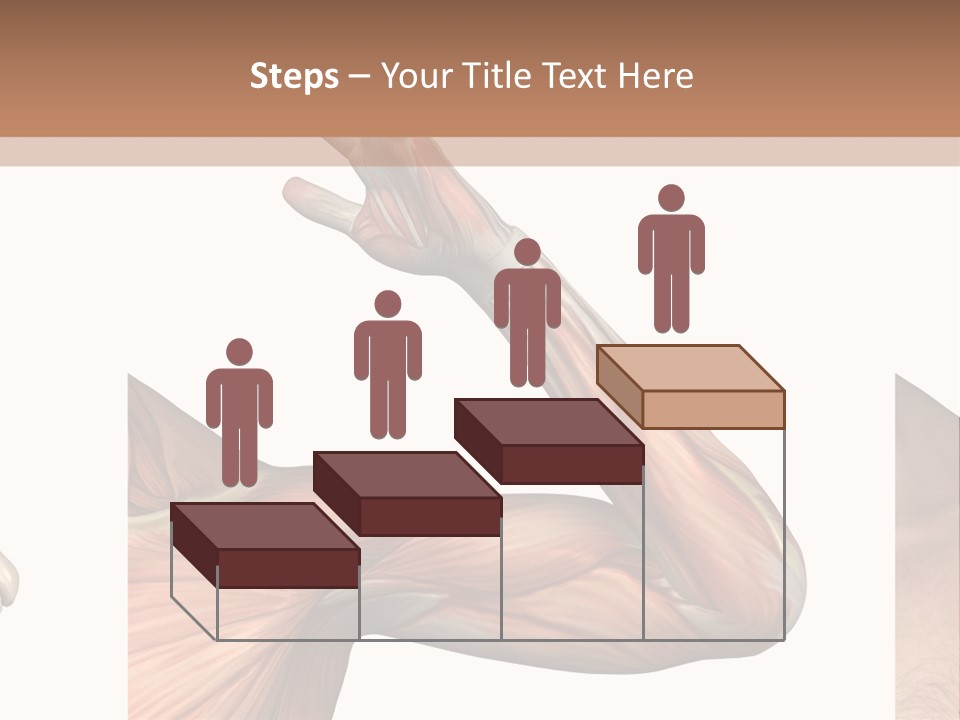 A Medical Powerpoint Presentation With Muscles And Bones PowerPoint Template