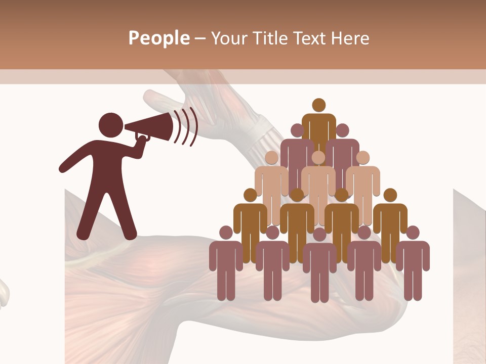 A Medical Powerpoint Presentation With Muscles And Bones PowerPoint Template