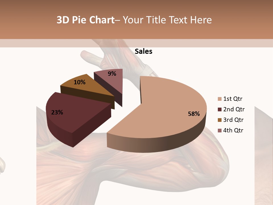 A Medical Powerpoint Presentation With Muscles And Bones PowerPoint Template