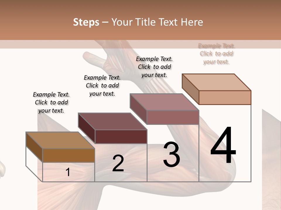 A Medical Powerpoint Presentation With Muscles And Bones PowerPoint Template