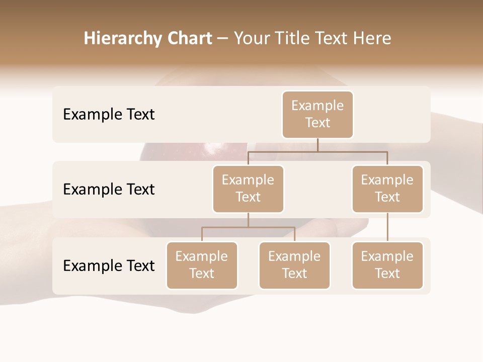 Mans Hand Is Giving An Apple To The Women Hand. PowerPoint Template