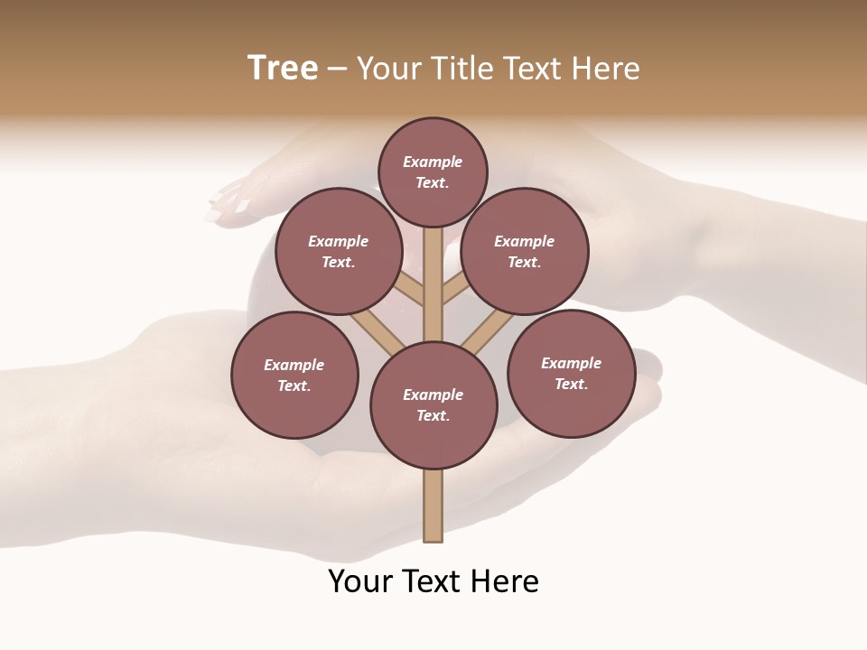 Mans Hand Is Giving An Apple To The Women Hand. PowerPoint Template