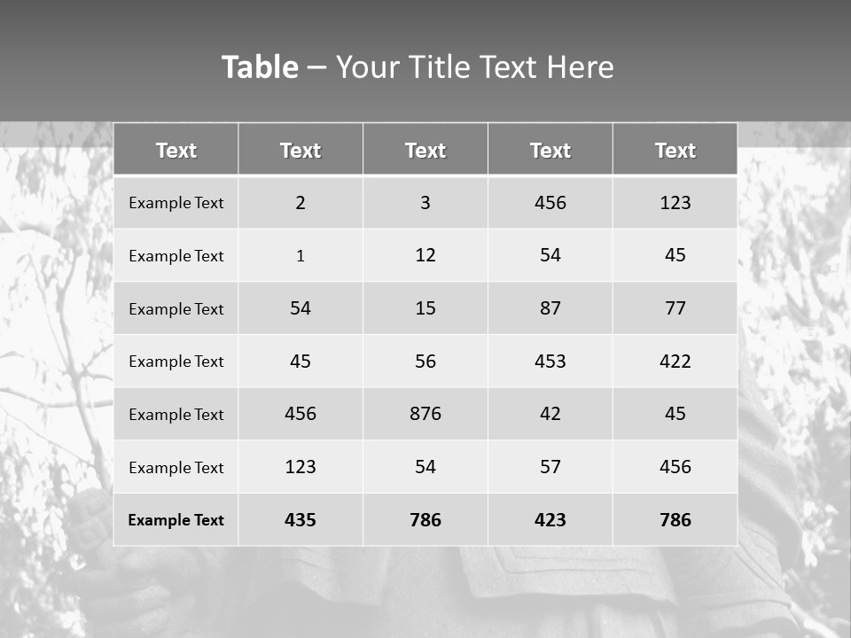 Statue Of Hua Mulan PowerPoint Template