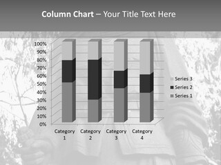 Statue Of Hua Mulan PowerPoint Template