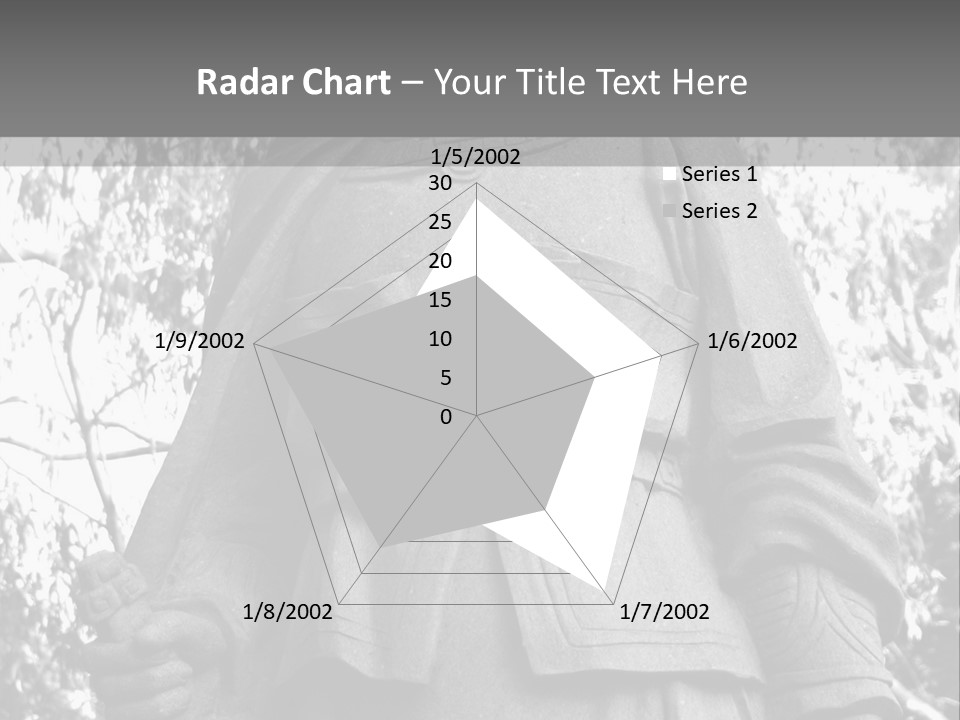 Statue Of Hua Mulan PowerPoint Template
