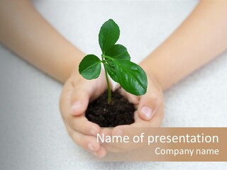 Small Green Plant In Children's Palms PowerPoint Template