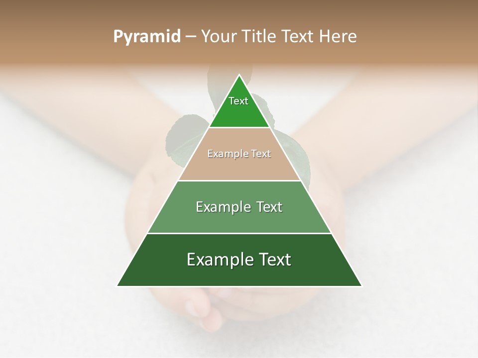 Small Green Plant In Children's Palms PowerPoint Template