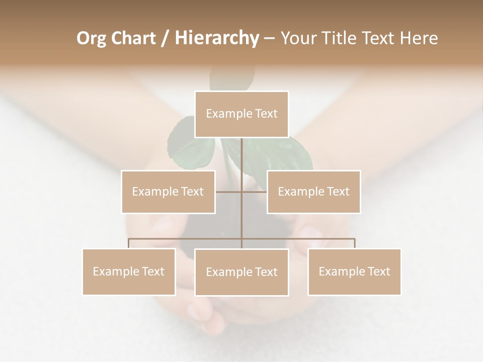 Small Green Plant In Children's Palms PowerPoint Template