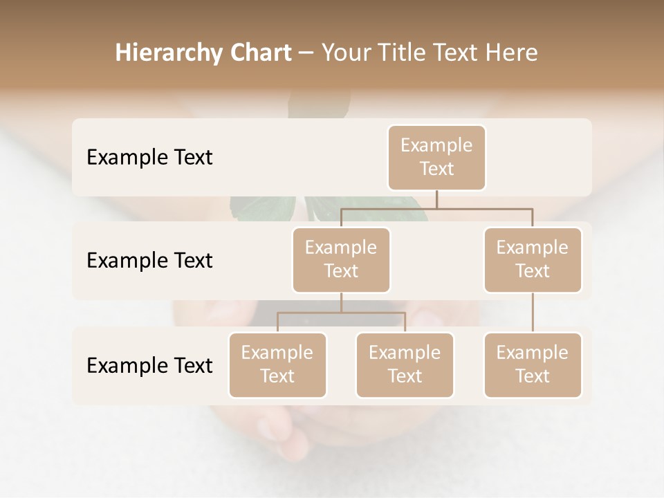 Small Green Plant In Children's Palms PowerPoint Template