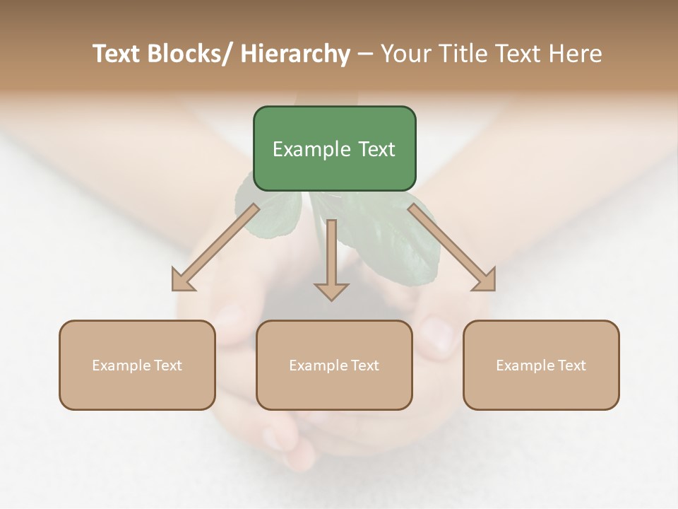 Small Green Plant In Children's Palms PowerPoint Template