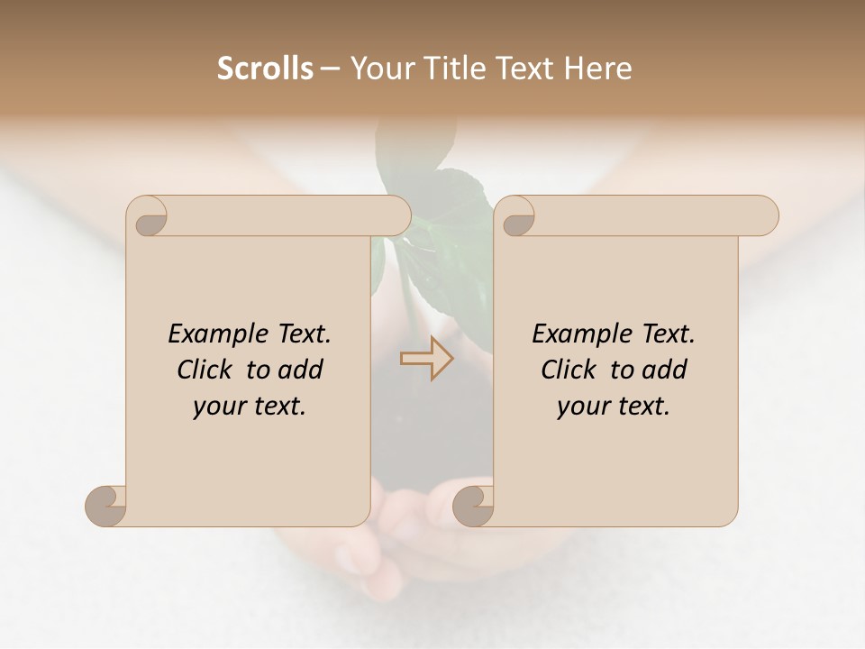 Small Green Plant In Children's Palms PowerPoint Template