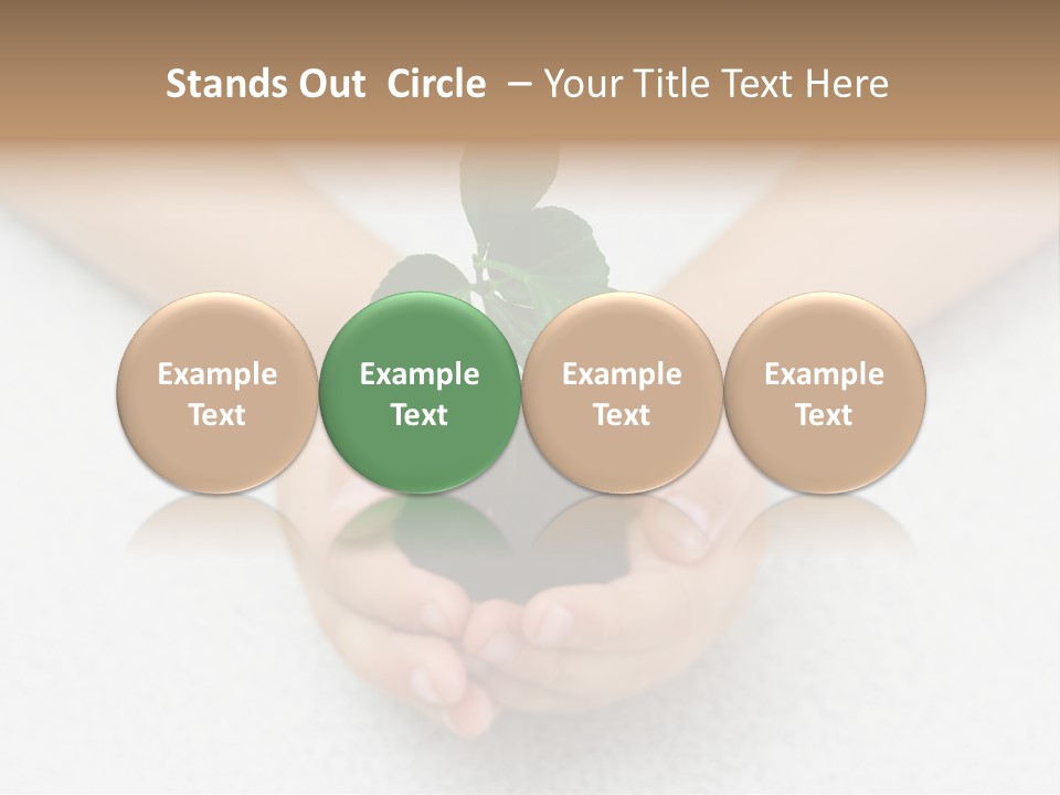 Small Green Plant In Children's Palms PowerPoint Template