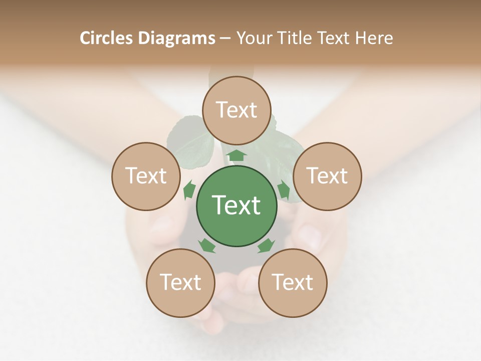 Small Green Plant In Children's Palms PowerPoint Template