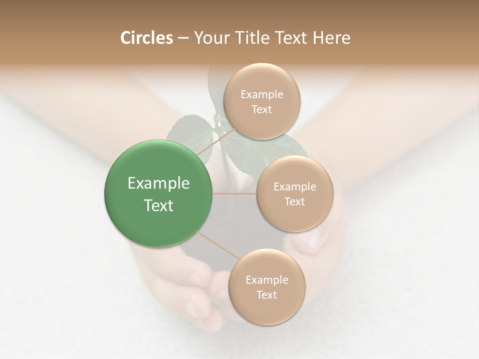 Small Green Plant In Children's Palms PowerPoint Template