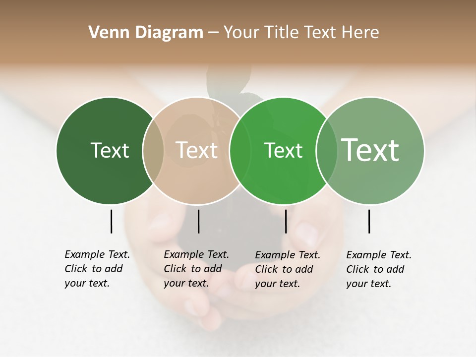 Small Green Plant In Children's Palms PowerPoint Template