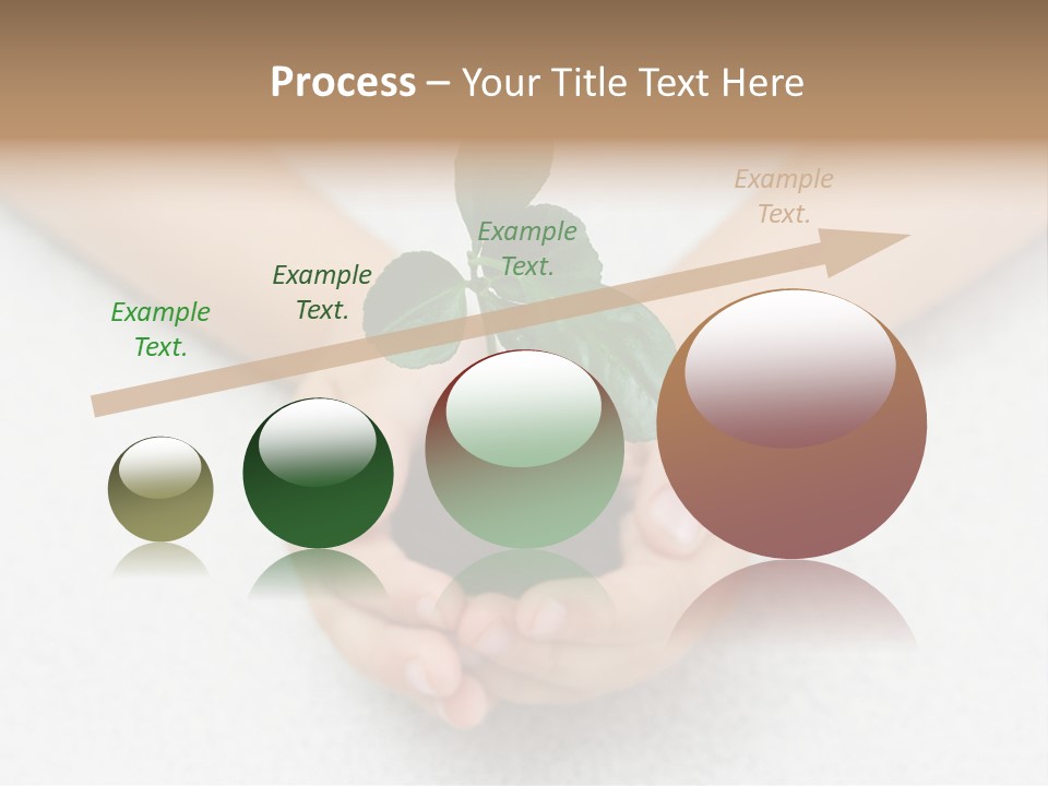 Small Green Plant In Children's Palms PowerPoint Template