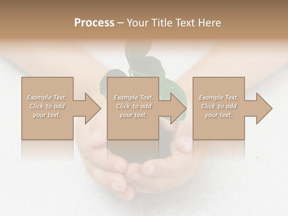 Small Green Plant In Children's Palms PowerPoint Template