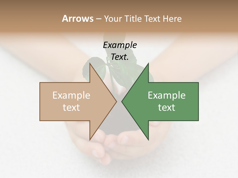 Small Green Plant In Children's Palms PowerPoint Template