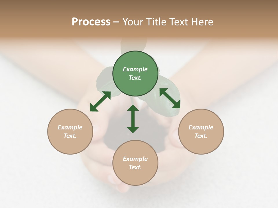 Small Green Plant In Children's Palms PowerPoint Template