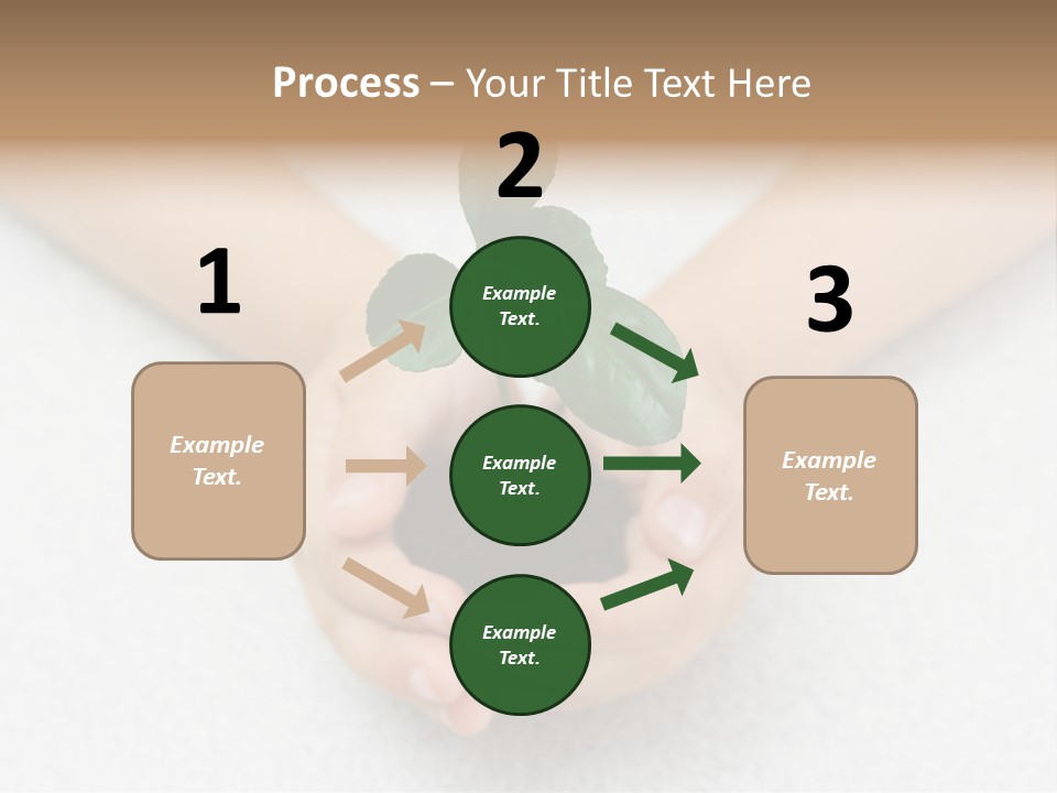 Small Green Plant In Children's Palms PowerPoint Template