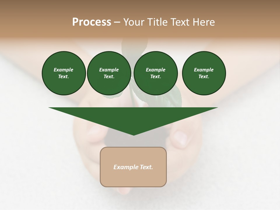 Small Green Plant In Children's Palms PowerPoint Template