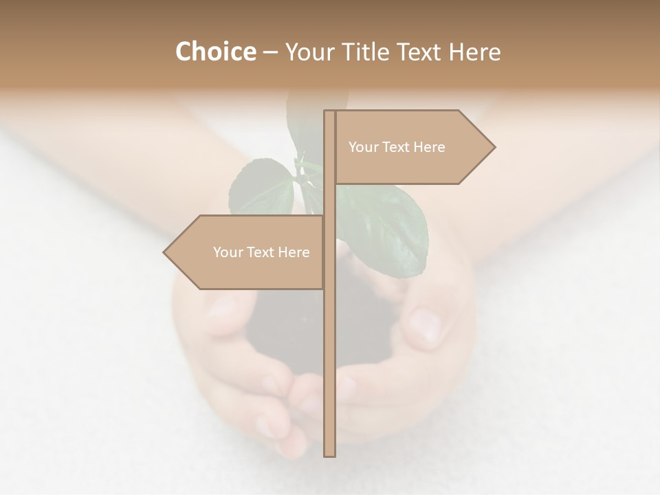 Small Green Plant In Children's Palms PowerPoint Template