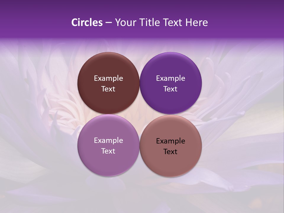 A Large Purple Flower With A Yellow Center PowerPoint Template