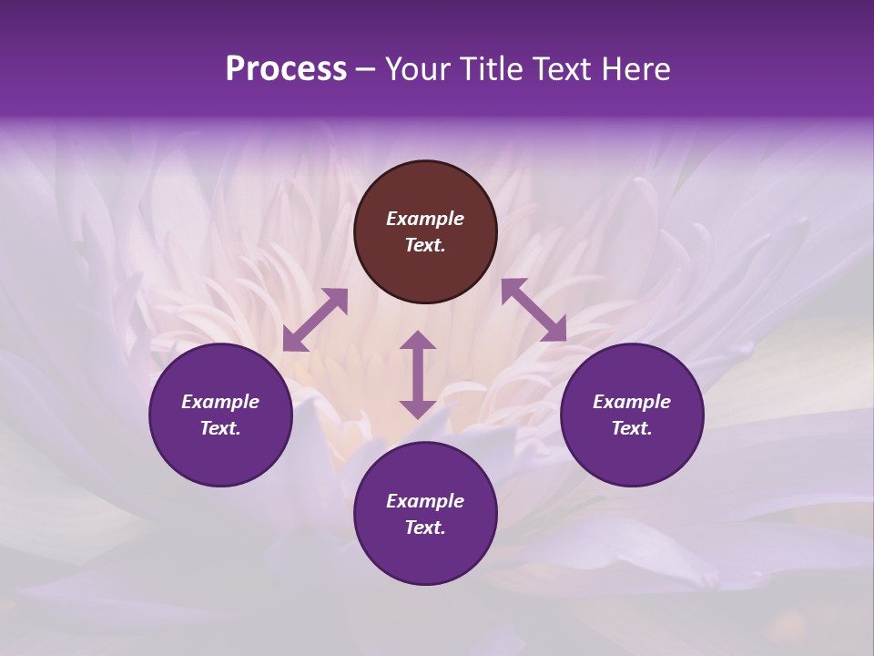A Large Purple Flower With A Yellow Center PowerPoint Template