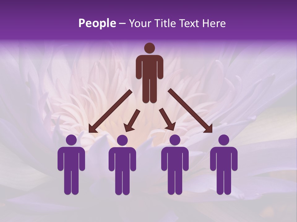 A Large Purple Flower With A Yellow Center PowerPoint Template