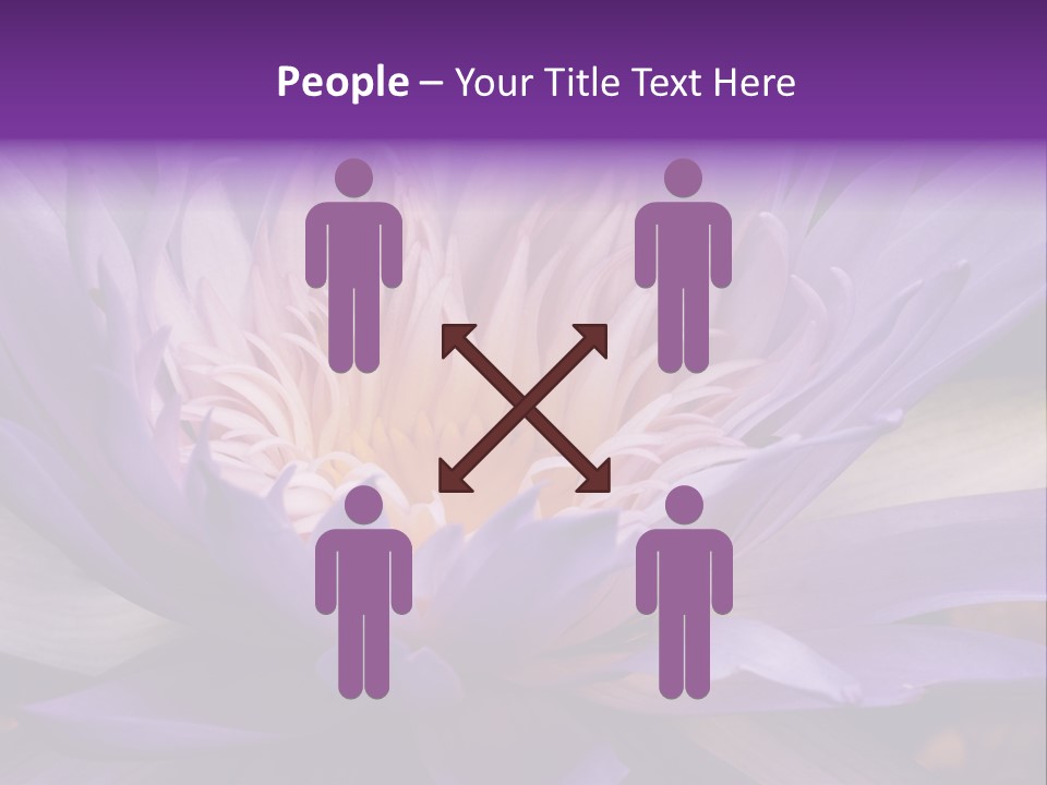 A Large Purple Flower With A Yellow Center PowerPoint Template