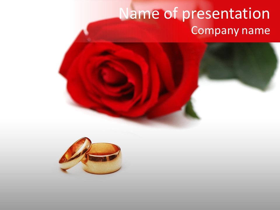 Wedding Rings And Rose At The Background PowerPoint Template