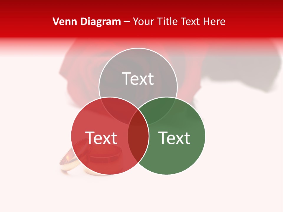 Wedding Rings And Rose At The Background PowerPoint Template