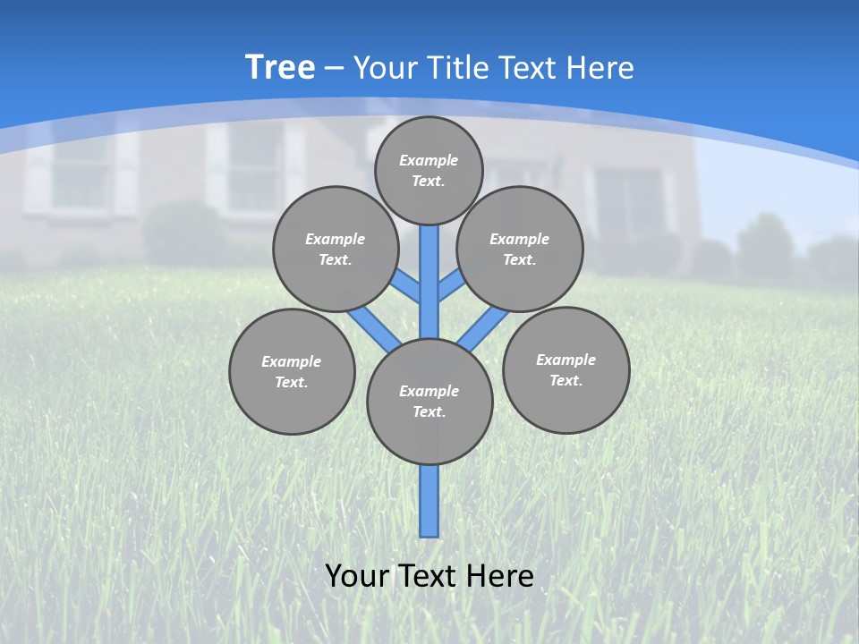 Focus On Front Lawn With House In Background. PowerPoint Template